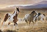 Desert Horses Wall Mural