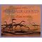 Great Dinosaur Books for Kids