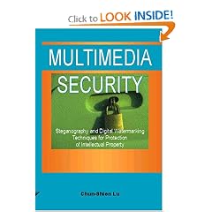 Multimedia Security: Steganography and Digital Watermarking Techniques for Protection of Intellectual Property