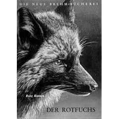 Der Rotfuchs