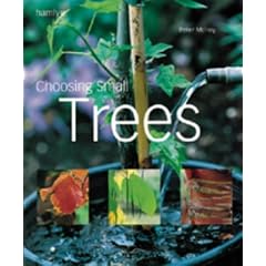 Choosing a Small Tree