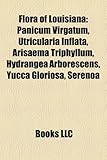 Flora of Louisiana: Panicum Virgatum, Utricularia Inflata, Arisaema Triphyllum, Hydrangea Arborescens, Yucca Gloriosa, Serenoa-