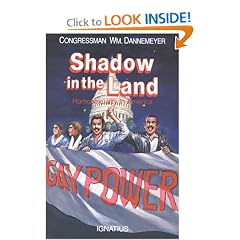 Shadow in the Land: Homosexuality in America