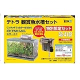 ���i�̏ڍ�