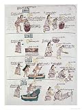 Page from the Codex Mendoza, Showing Discipline and Chores Assigned to Children, Mexico, c.1541-42 Art Giclee Poster Print by Spanish School, 18x24