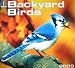 Backyard Birds 2009 (One with Nature)