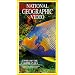 National Geographic's Jewels of the Caribbean Sea [VHS]
