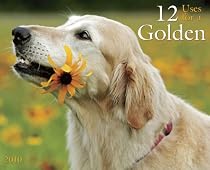 12 Uses for a Golden 2010 Calendar