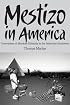 Mestizo in America: Generations of Mexican Ethnicity in the Suburban Southwest