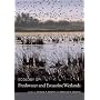 Ecology of Freshwater and Estuarine Wetlands