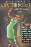 A Beautiful Pageant: African American Theatre, Drama, and Performance in the Harlem Renaissance, 1910-1927
