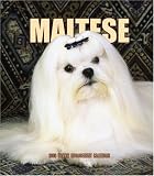 Maltese Weekly Engagement 2006 Calendar