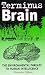 Book Terminus Brain: The Environmental Threat to Human Intelligence (Global Issues)