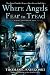 Where Angels Fear to Tread: A Remy Chandler Novel