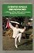 Book Chinese Single Broadsword: A Primer of Basic Skills and Performance Routines for Pratitioners