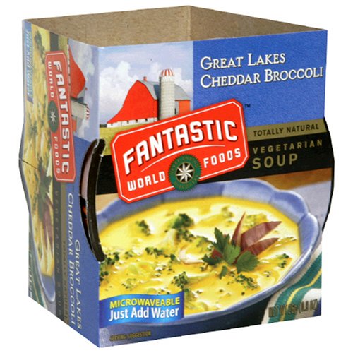 Fantastic Foods Soup Cup, Great Lakes Broccoli Cheddar, 0.9-Ounces (Pack of 12) by Fantastic Foods