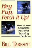 Hey Pup, Fetch It Up: The Complete Retriever Training Book