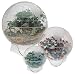 Plant-It-Earth, 3 Diameter, Ring Base