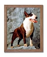 Bull Terrier Puppy Dog Kids Room Animal Home Decor Wall Picture Oak Framed Art Print