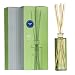 Light Green Ilio Cucumber Slice Fragrance