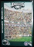 Philadelphia Eagles 513 Piece Jigsaw Puzzle