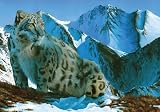 Himalayan Highlander - Majestic 1500 Piece Wooden Jigsaw