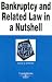 Bankruptcy and Related Law in a Nutshell (Nutshell Series)
