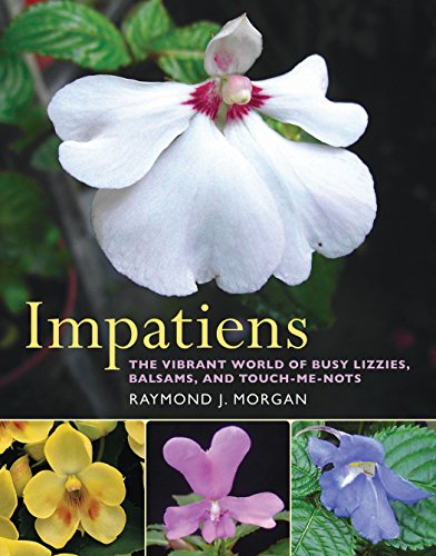impatiens the vibrant world of busy lizzies balsams and touch me nots