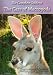 The Complete Guide to the Care of Macropods