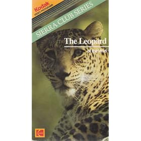Leopard of the Wild [VHS]