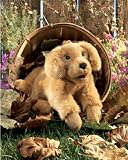 Plush Golden Retriever Puppy Puppet 17