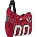 Search : Littlearth Jersey Tote - Tampa Bay Buccaneers