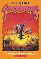 A Shocker on Shock Street (Goosebumps Series)