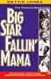 Big Star Fallin' Mama: Five Women in Black Music