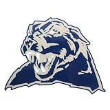 Die Pittsburgh Panthers Car Magnet
