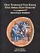 Book Dene Ts'Ukeghai Tene Rahesi/Dene Spruce Root Basketry Tradition: Revival of a Tradition (Mercury Series)