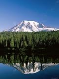 Mount Rainier National Park, Mount Rainier with Snow, Washington, USA Photographic Poster Print by Steve Vidler, 24x32
