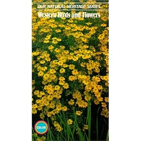 Western Birds & Flowers [VHS]