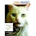 Conversations with Cat: An Uncommon Catalog of Feline Wisdom