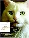 Book Conversations with Cat: An Uncommon Catalog of Feline Wisdom (Conversations With)
