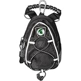Michigan State Spartans NCAA Mini Day Pack