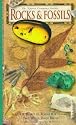 Rocks & Fossils ( The Nature Company Guides) (Illustrated) (Reprinted Edition)
