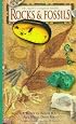 Rocks & Fossils (Nature Company Guides)