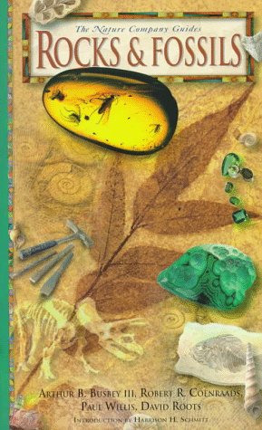 Rocks & Fossils (Nature Company Guides) under Rocks & Minerals in The Books Store