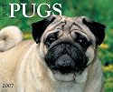 Just Pugs 2007 Calendar