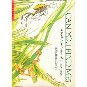 animal camouflage book