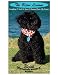 Search : The Bijou Lessons: Everything I Need to Know I Learned from My Puppy