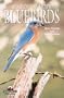 Bluebirds! (Camp & Cottage Birding Collection)