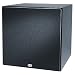 NOW HEAR THIS SW10 II 10-Inch Subwoofer