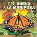 Del Huevo a La Mariposa / from Egg to Butterfly (De Principio a Fin / Start to Finish)